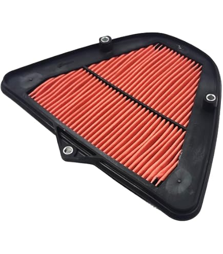Amazon.com: Kawasaki OEM Air Filter Ninja ZX1000 ZX10R 04-07 11013