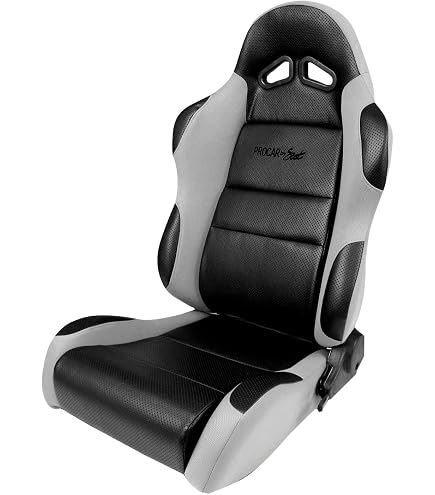 Amazon.com: ProCar by Scat 80-1605-62R Sportsman Gray Vinyl/Velour