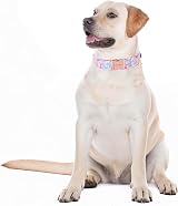 Unique Style Paws Pink Flower Dog Collar XS-XL Soft Adjustable view 5