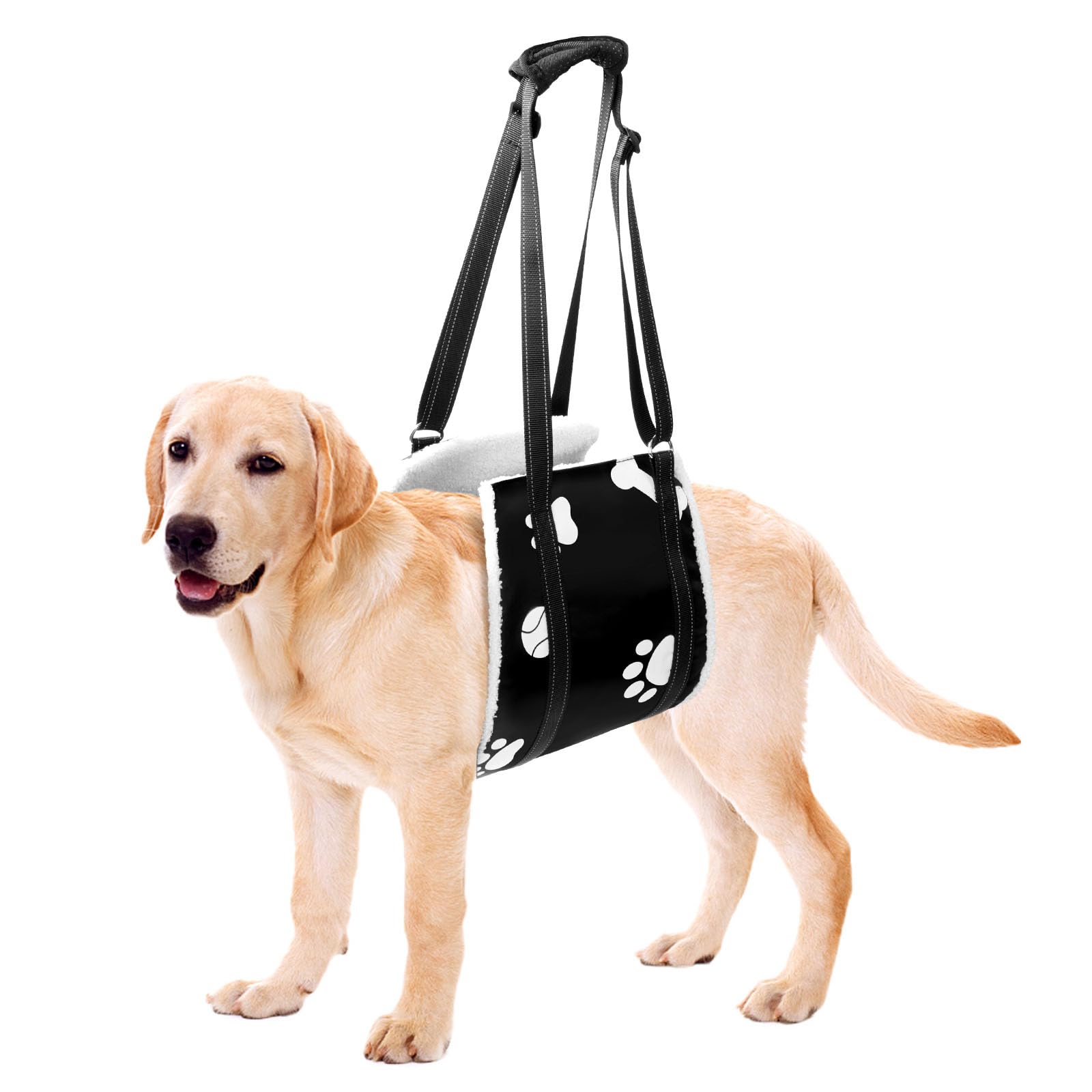 Adjustable Dog Sling for Back Leg Support - Soft Hind Leg Support for Senior, Injured, Disabled Dogs and Post-ACL Surgery (Medium)