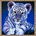 Adarl 5D DIY Diamond Painting Rhinestone Pictures Of Crystals Embroidery Kits Arts, Crafts & Sewing Cross Stitch (Baby Tiger With Butterfly)