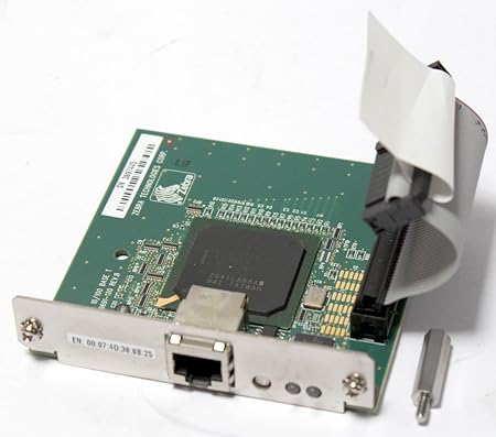 zebra printer server