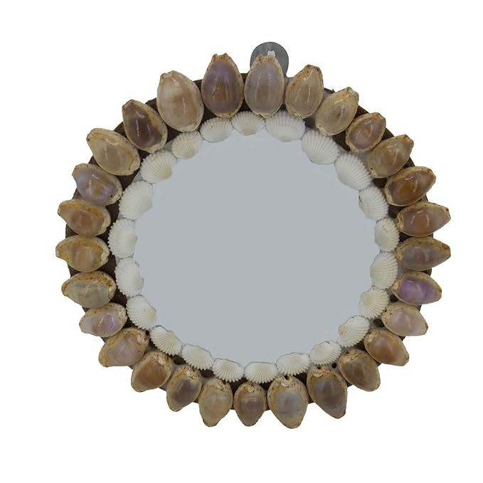 Buy Aumni Crafts Handcrafted Sea Shell Crafts Mirror Gifts Home