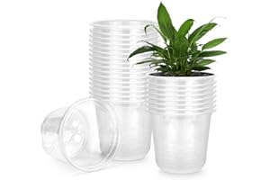 RAOOKIF 25 Pack Clear Nursery Pots 6 Inch, Transparent Nursery Pots with Drainage Holes, Flexible Plastic Nursery Pots for Plants, Reusable Garden Flower Pot, Seed Starter Pots