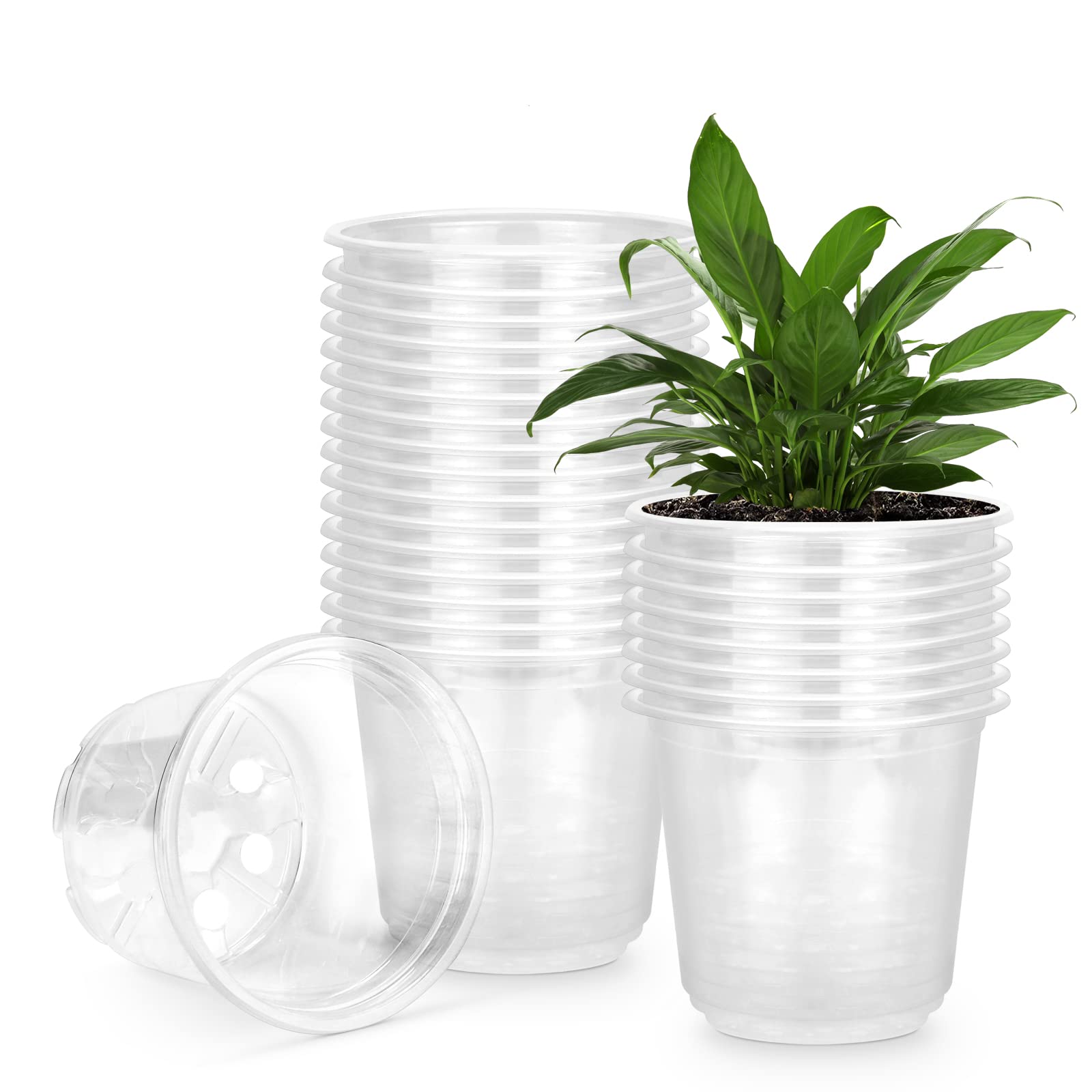 Photo 1 of RAOOKIF 25 Pack 5 Inch Clear Nursery Pots with Drainage Holes, Flexible Plastic Nursery Pots for Plants, Durable Garden Flower Pot, Seed Starter Pots