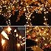 Lalapao Christmas Decoration Lights Battery Operated Mini String Lights 2 Pack M5 50 LED Xmas Fairy Outside Lighting Decor for Outdoor Indoor Tree Garden Patio Holiday Wedding Decorative (Warm White)