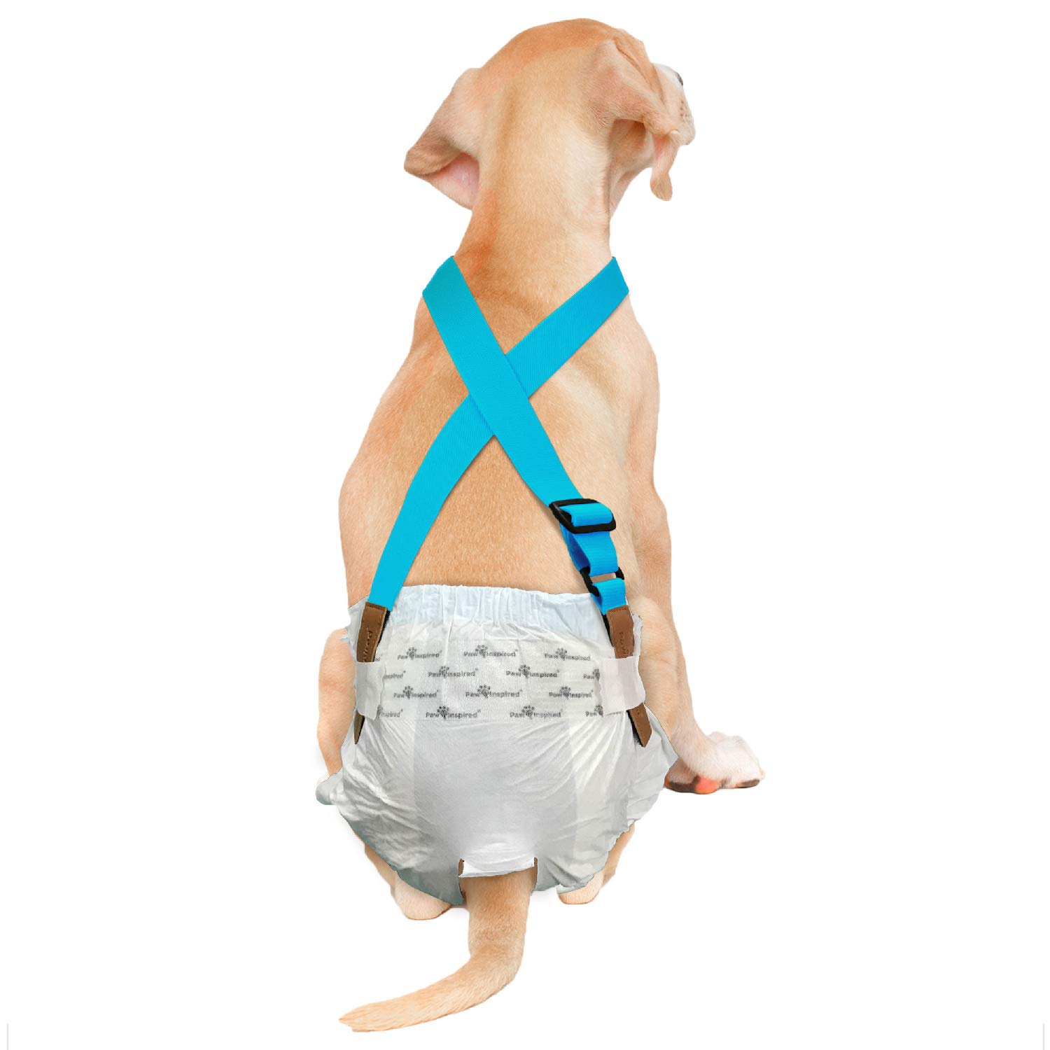Paw Inspired Dog Diaper Suspenders | Belly Bands Canine Harness | Durable Dress & Diaper Keeper | Keep Diaper on Your Dog, for Small Medium and Large Dogs (S/M, Blue)