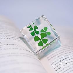 Bon Cube Real Four Leaf Clover Desk Accessory
