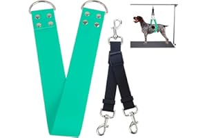 DISCPETSEC Dog Grooming Belly Band - Pet Grooming Belly Straps Groomer Belly Support 2" Wide Waterproof Strong PVC Dogs Loop with Adjustable Connector Groom Restraint for Pets Bathing Salon (Turquoise-Short)