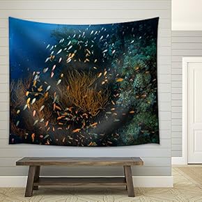 Tropical Fish on Background of a Coral Reef - Fabric Wall Tapestry Home Decor - 51x60 inches