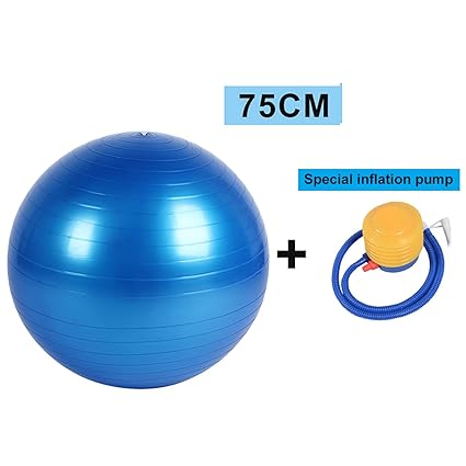 Amazon.com: Sheep Shop - Pelotas deportivas de yoga, bola de ...