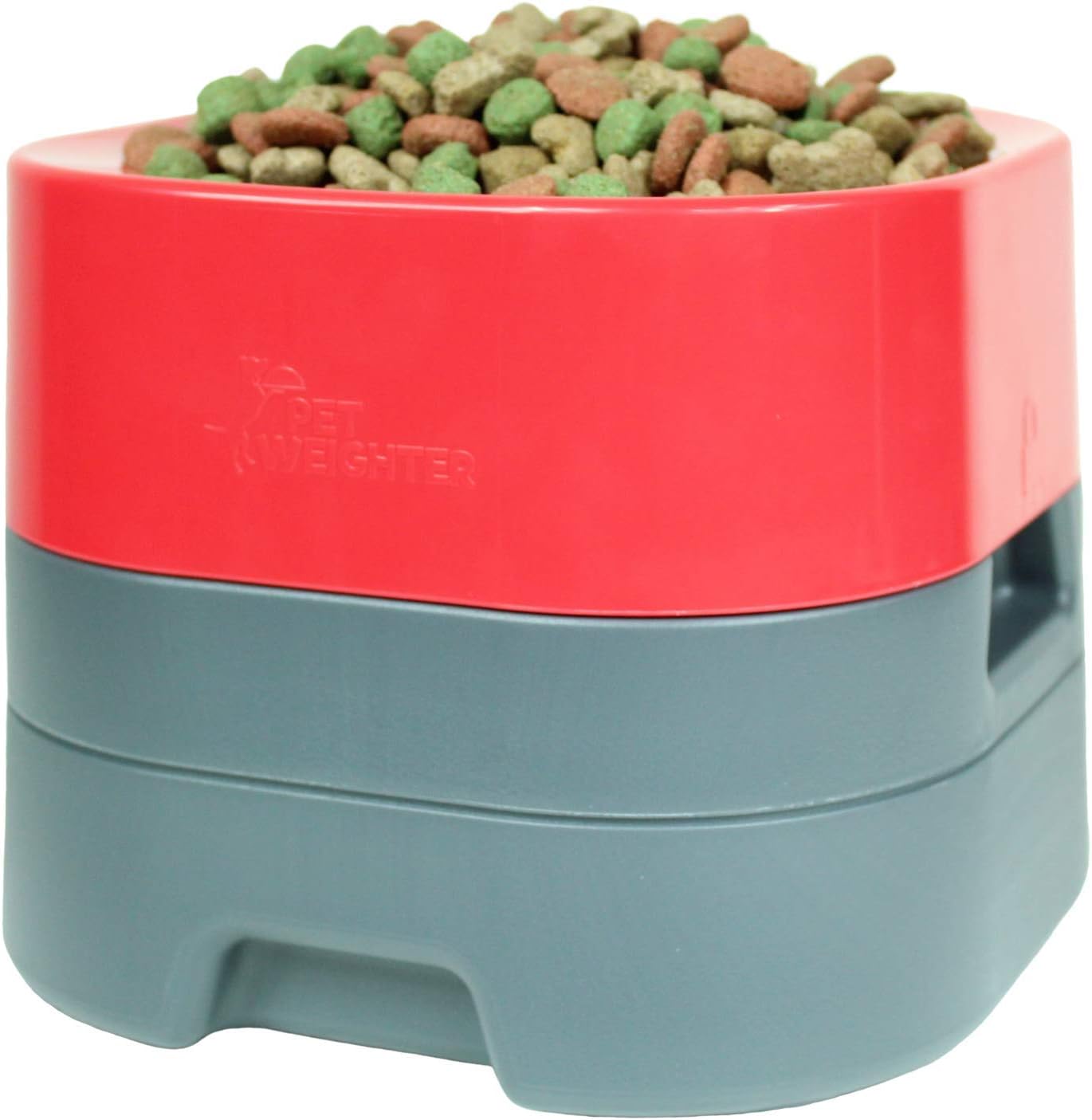 silver chihuahua puppies