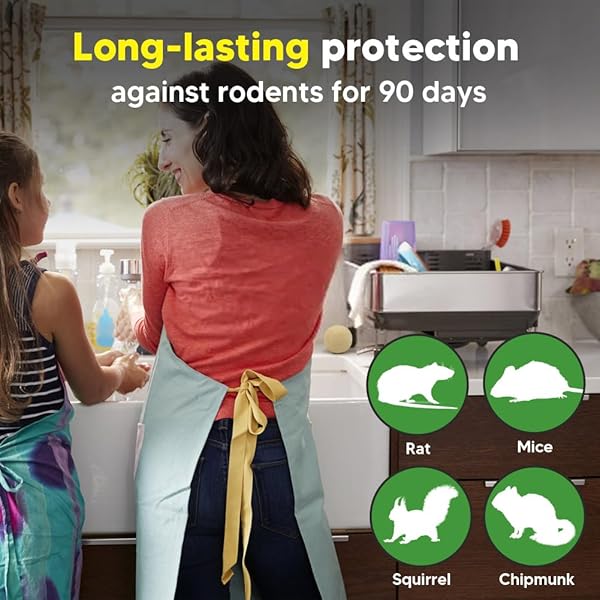 RODENT REPELLENT, MOUSE REPELLENTS OUTDOOR, NATURAL MICE REPELLENT INDOOR,PEPPERMINT OIL TO REPEL MICE AND RATS, KEEP MICE AWAY, RAT REPELLENT FOR HOUSE,RAT DETERRENT INDOOR,GET RID OF MICE-8P