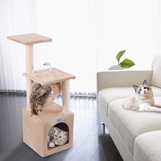 kitten furniture