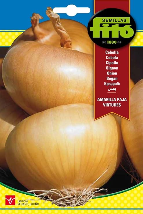 Semillas Fitó 44 - Semillas de Cebolla Amarilla Paja Virtudes ...