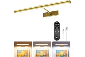 EZVALO Picture Light for Wall, 4800mAh Rechargeable Wireless Remote Lights, 16'' Dimmable Magnetic LED Art Painting Light with 3 Color Temps, Display for Gallery, Living Room, Bedroom, Hallway (Gold)