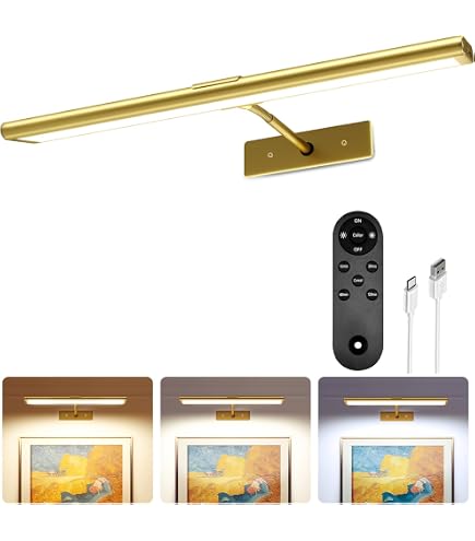 Situ Lighting Vision Series - Luce LED Per Quadri Con Telecomando | 2700K | Prodotta In USA | Fino A 60 Pollici Di Altezza