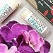 All Natural, Handcrafted Vegan Lip Balm - Cocoa Friggin' Fantastic Lip Balm