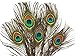Moonlight Feather | 50 Pieces Natural Green Feathers - 10