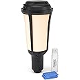 Thermacell Mosquito Repellent Patio Shield Lantern; Includes 12-Hour Refill; 15 Foot Zone of Protection; Highly Effective Mosquito Repellent for Patio; Bug Spray Alternative; Scent Free