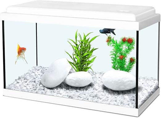 Acuario infantil, color blanco: Amazon.es: Productos para mascotas