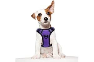 BUMBIN Tactical Dog Harness for Small Dogs No Pull, Famous TIK Tok No Pull Puppy Harness, Fit Smart Reflective Pet Walking Harness for Training, Adjustable Dog Vest Harness with Handle Purple XS