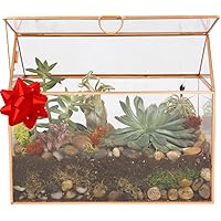 D'Eco Glass House Plant Terrarium (10"x6"x8") - Indoor Tabletop Gold Geometric Planter Terrarium for Succulents, Air Plants, 