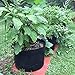 WINNER OUTFITTERS 6-Pack 10 Gallon Grow Bags/Aeration Fabric Pots with Handles