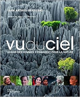 Amazon Fr Vu Du Ciel Quand Des Hommes S Engagent Pour La Nature Arthus Bertrand Yann Jacquot Francoise Collectif Remilleux Jean Louis Livres