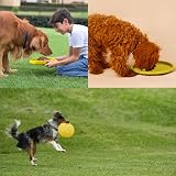 Vivifying 2 Pack 7 Inch Natural Rubber Flying Disc Dog Frisbee Green Yellow view 8