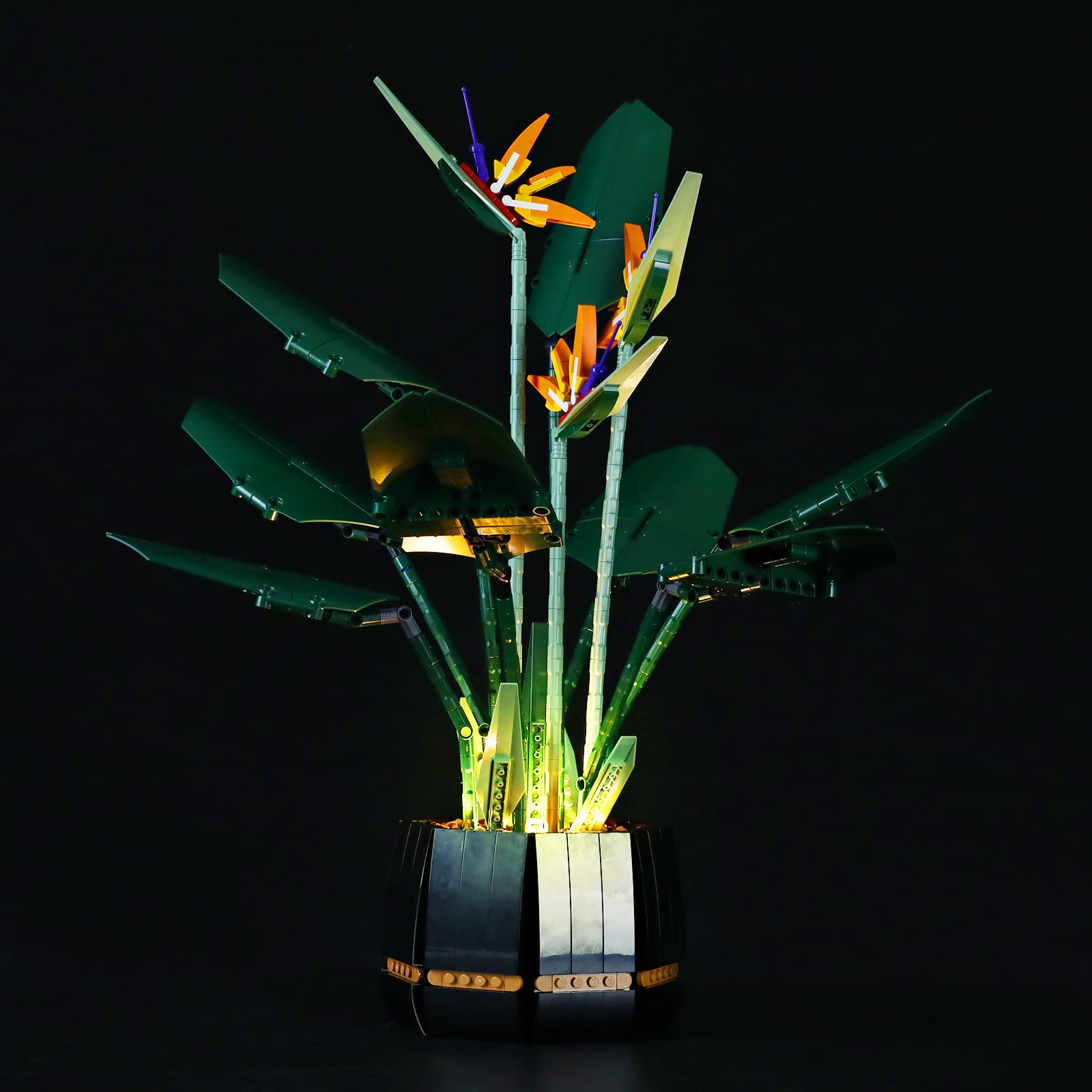 LIGHTAILING Led Light Compatibled With Lego 10289 Bird of Paradise Building Blocks Model - NOT Included The Model Set — image 1