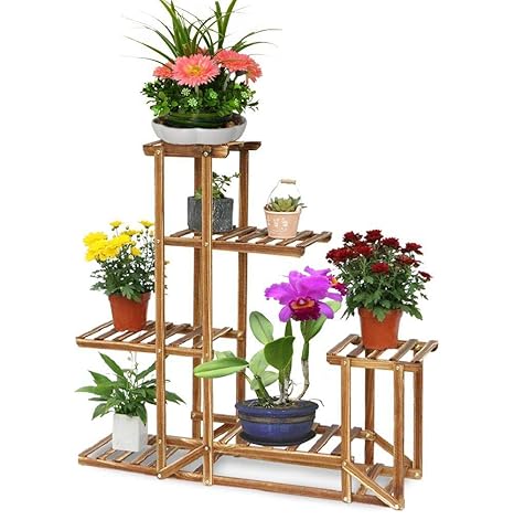 Plantas Con Flores Para Exterior - Flores Imagenes