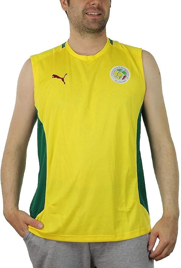puma senegal shirt