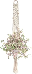 Macrame Plant Hangers Indoor with Hooks for Succulent Hanging Plant Holder Rope Plant Hanger for Boho Wall Home Decor, Style B
