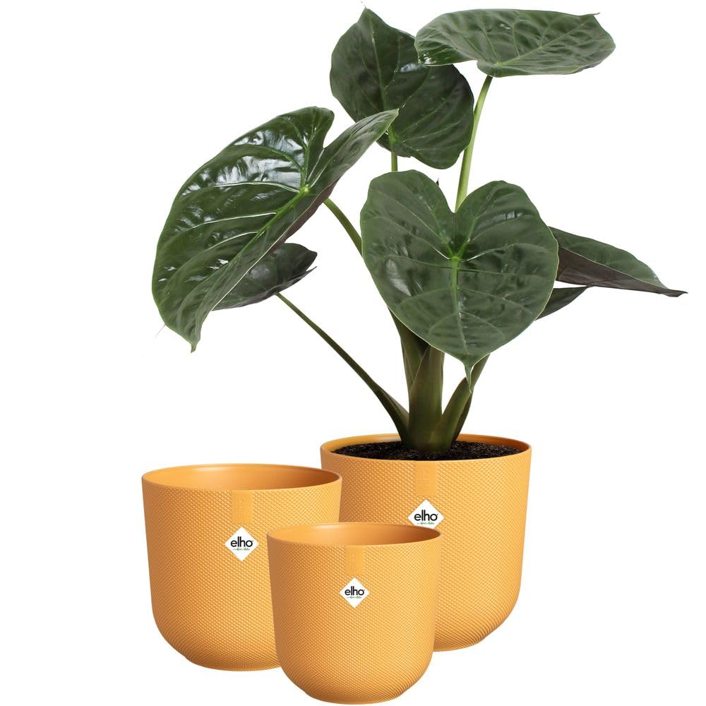 elho Jazz Round Flower Pots - Indoor Plant Pots - 100% Recycled Plastic - Unique Structure - Set of 3 - Ø 14, 16, 19 cm - Yellow/Amber Yellow