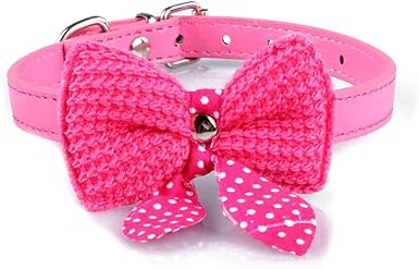 outdoor dog collars