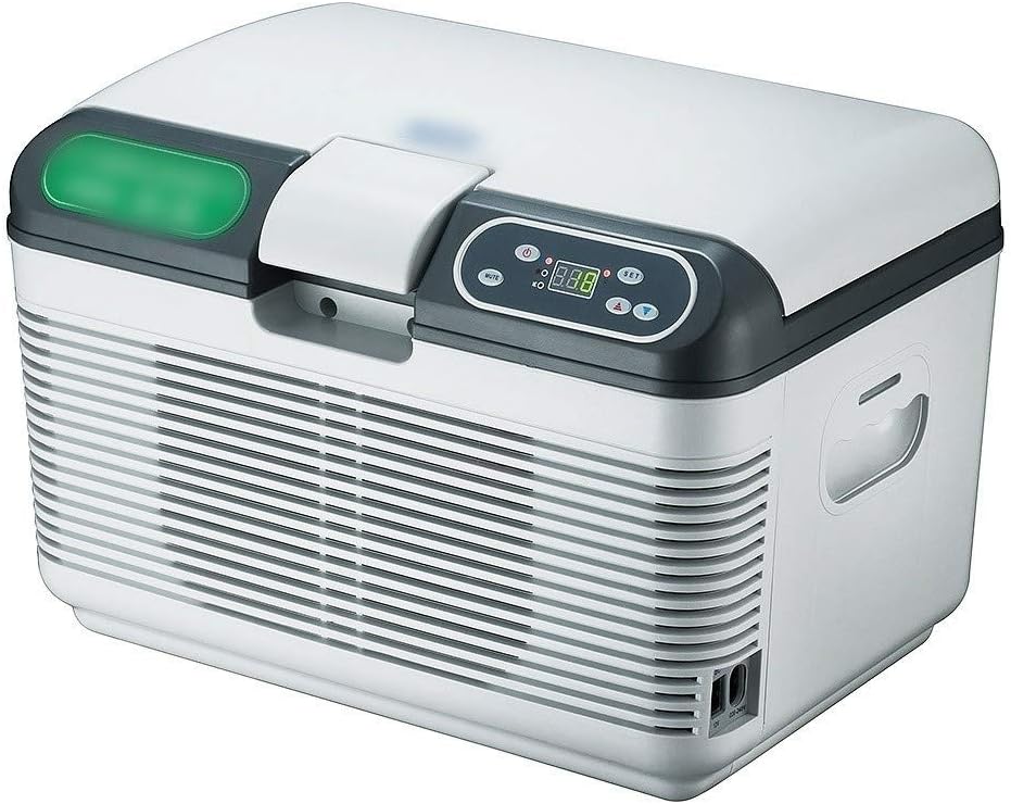 car mini refrigerator