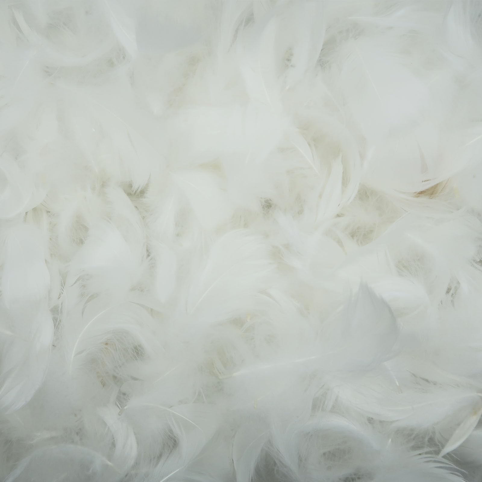 Photo 1 of 400 Pieces White Feathers, Small Natural Craft Feathers Bulk Assorted Color 5-8cm Goose Feathers for Gift Filling, Cat Toy Making, Wedding Party Clothing Decorations, Home DIY Crafts Supplies