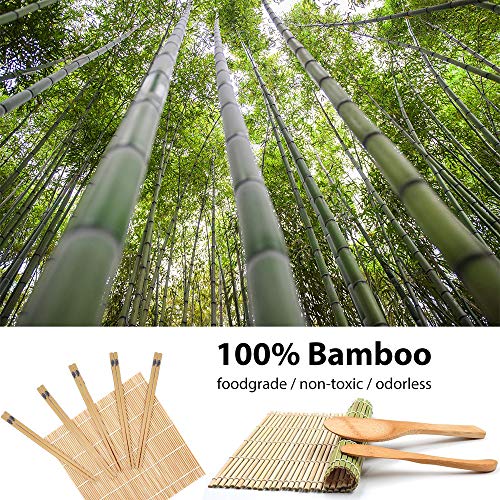 Sushi Making Kit Bamboo All in One - 2 Sushi Roller Mats, 1 Rice Paddle, 1 Rice Spreader, 5 Pairs Chopsticks, 2 Plates and 1 Canvas Chopstick Bag - DIY Sushi/California Rolls Maker Mats Utensils