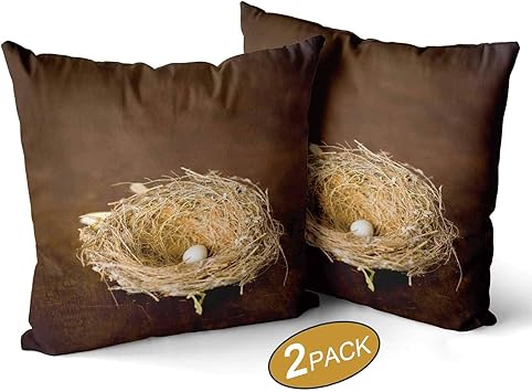 Amazon Com Nine City Humming Birds Egg In The Nest Pillow Case