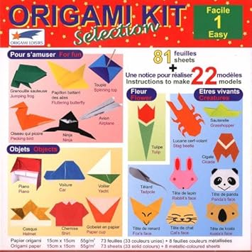 Origami Loisirs Loisirs Créatifs Origami Kit Selection 1 Facile Notice Illustrée 81 Feuilles De Papier Origami 15cm X 15cm