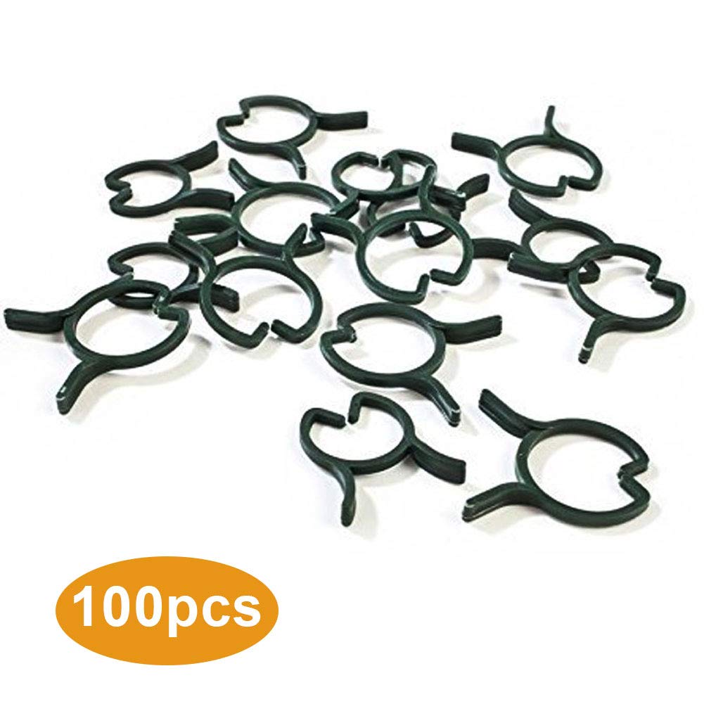 Girasol-Boom Clip de jardín: Amazon.es: Jardín