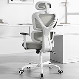 Sytas Ergonomic Office Chair, High Back Computer