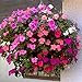Ultimate Hanging Baskets - Strawberry, Tomato, Flower, and Herb Outdoor Planters - Use Garden Pots For Growing Plants Outside On A Deck, Fence, or Balcony (2, Stone)