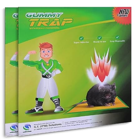 Gummy Trap, Rat Trap Glue Pad, Big Size Set of 2 (100% Bio degradable, Free Gloves with Every Pack, Imported Glue & Peanut Scent)