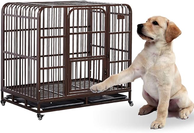 dog cage puppy