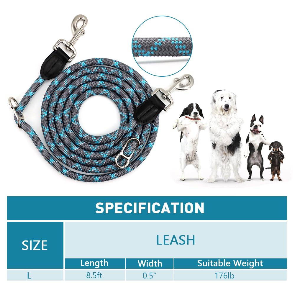 View 7