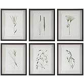 Forest Finds - Framed Wall Decor (Set of 6)-22 Inches Tall and 18 Inches Wide