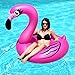 Giraffe - Flamingo Pool Float - Over 4.5ft Inner Tube