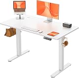 ErGear Electric Sit Stand Desk 120x60cm 4 Memory Panel Quiet Motor
